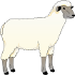 ovca.png